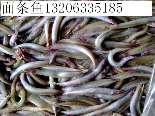 我库现存大量饲料鱼欢迎选购_综合价格_中国水产养殖网