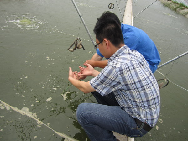 江苏南通海门水产专家踏塘指导水产养殖户加强