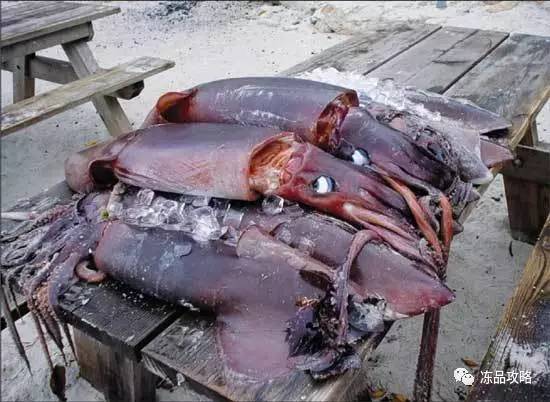 智利鱿鱼大王丰富产品类目以增加营收,鱿鱼产量质量双