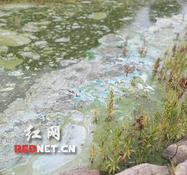网民诉 水产养殖污染 湖南邵阳市隆回县环保局